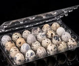 Not Fertile Quail Eggs (20)